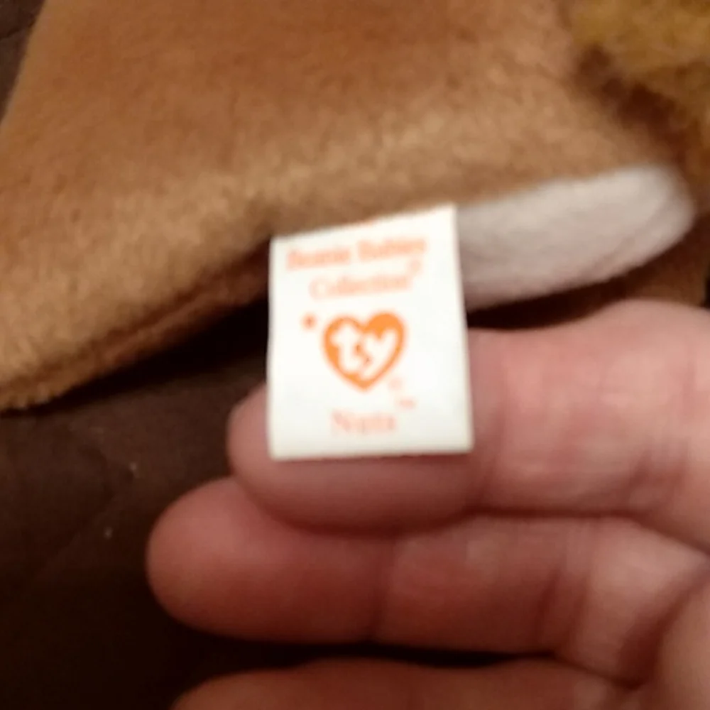 RARE! Nuts the squirrel retired beanie baby in Mint condition - Picture 3 of 5